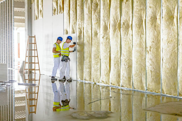 Best Commercial Insulation in Woodmere, LA